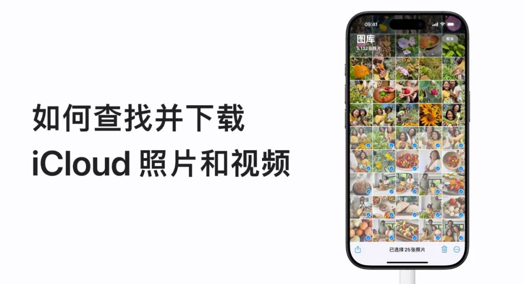 干货分享：如何下载iCould照片和视频插图